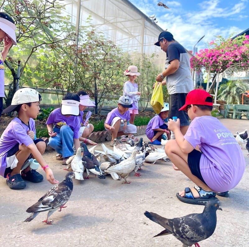 Trẻ học từ vựng tiếng anh chủ đề động vật 