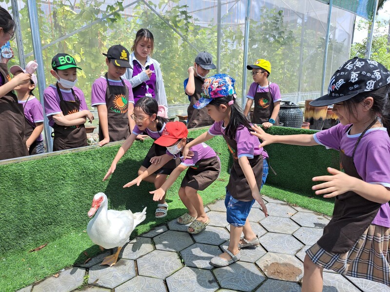 Hoạt động thể chất ngoài trời tại bán trú hè