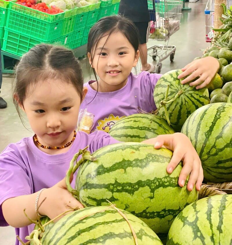 Trẻ mầm non học từ vựng chủ đề hoa quả