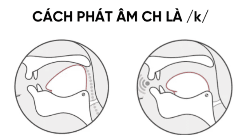 cách phát âm ch trong tiếng anh