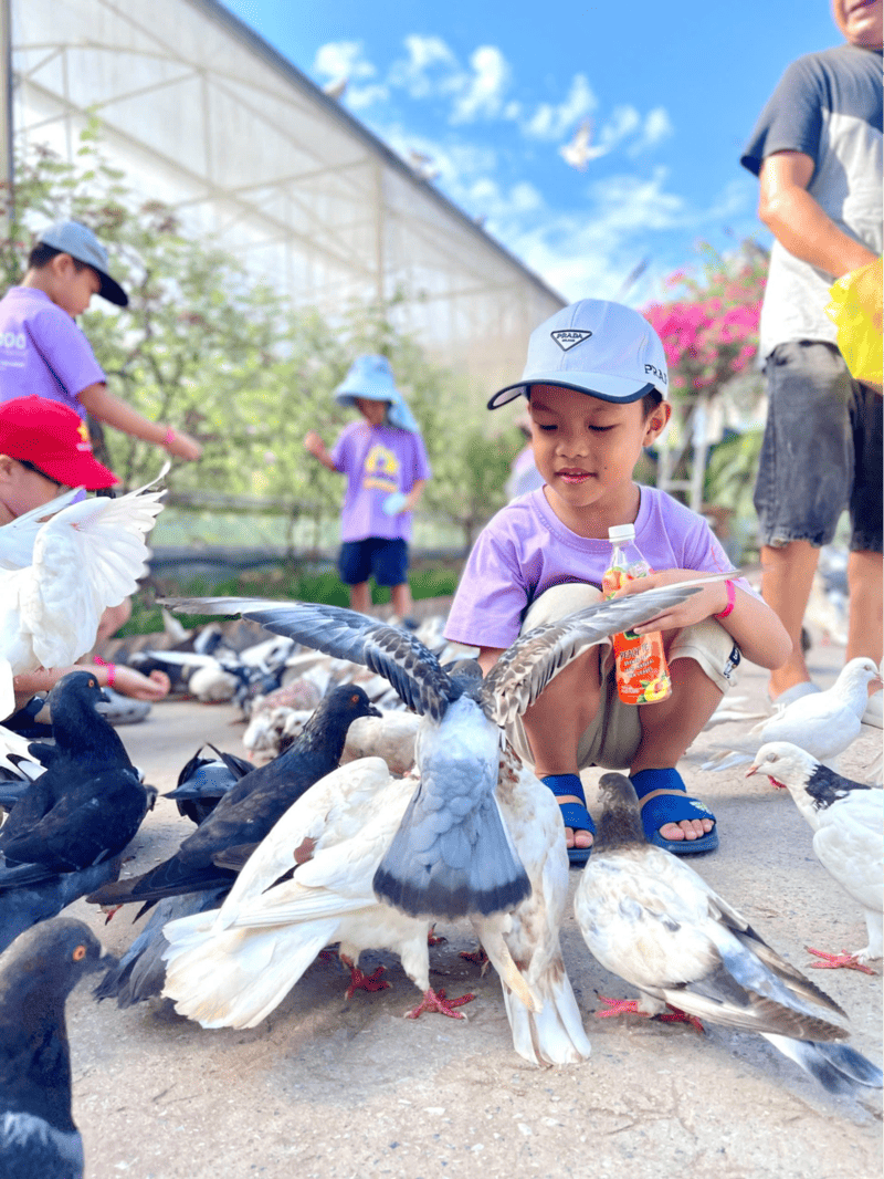 phương pháp học tiếng anh cho bé 5 tuổi
