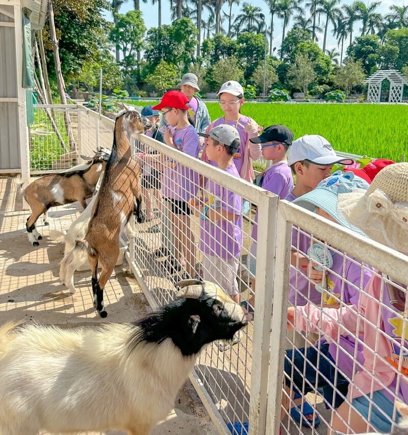 Trẻ tránh xa các thiết bị điện tử