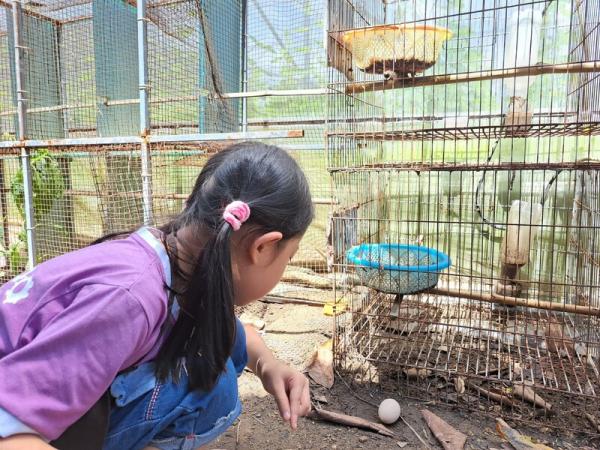 Chuyến Camping Lam Farm của các bé tại anh ngữ Popodoo Hải Phòng