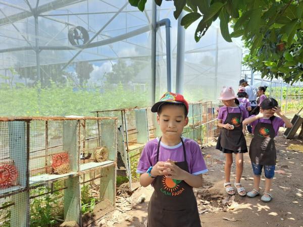 Chuyến Camping Lam Farm của các bé tại anh ngữ Popodoo Hải Phòng
