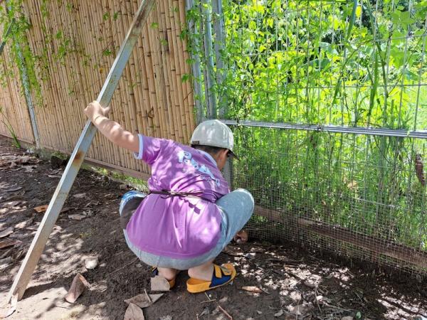 Chuyến Camping Lam Farm của các bé tại anh ngữ Popodoo Hải Phòng