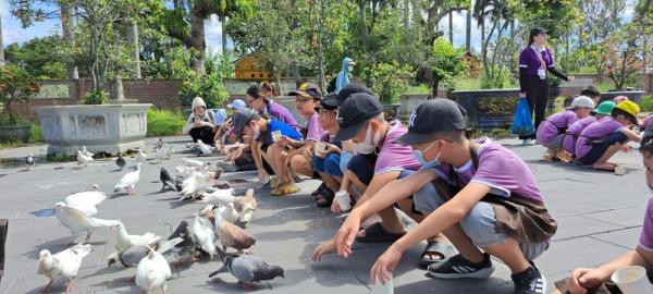 Chuyến Camping Lam Farm của các bé tại anh ngữ Popodoo Hải Phòng