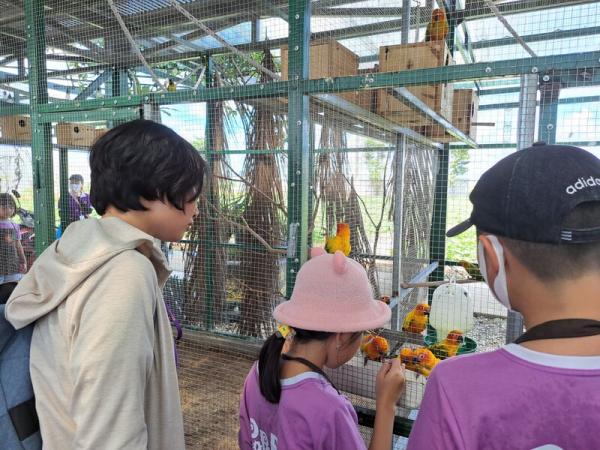 Chuyến Camping Lam Farm của các bé tại anh ngữ Popodoo Hải Phòng