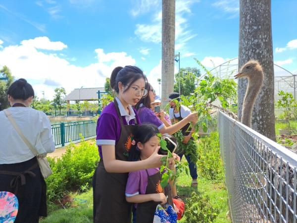 Chuyến Camping Lam Farm của các bé tại anh ngữ Popodoo Hải Phòng