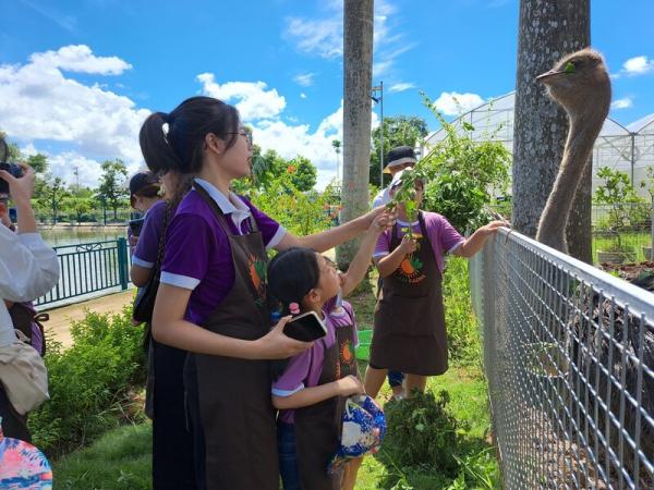 Chuyến Camping Lam Farm của các bé tại anh ngữ Popodoo Hải Phòng