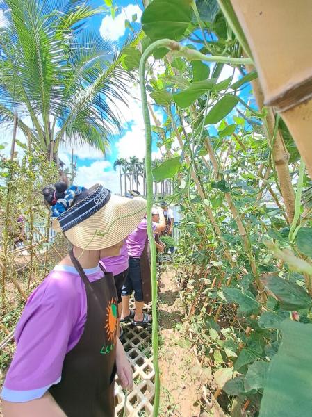 Chuyến Camping Lam Farm của các bé tại anh ngữ Popodoo Hải Phòng