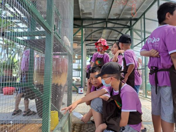 Chuyến Camping Lam Farm của các bé tại anh ngữ Popodoo Hải Phòng