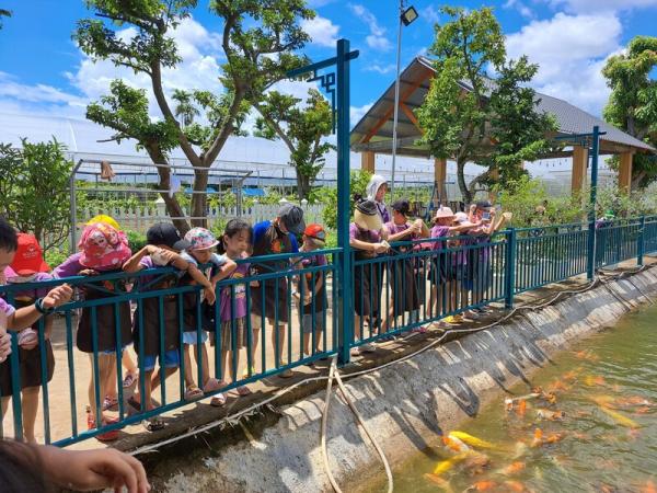 Chuyến Camping Lam Farm của các bé tại anh ngữ Popodoo Hải Phòng